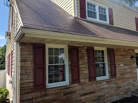 Signs your roof has organic growth that requires professional cleaning