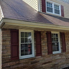 Signs Your Roof Has Organic Growth That Requires Professional Cleaning